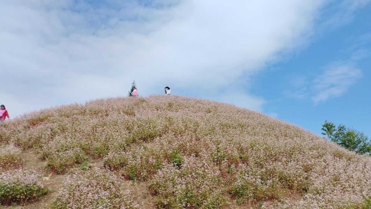 Huy Man Homestay ハザン エクステリア 写真