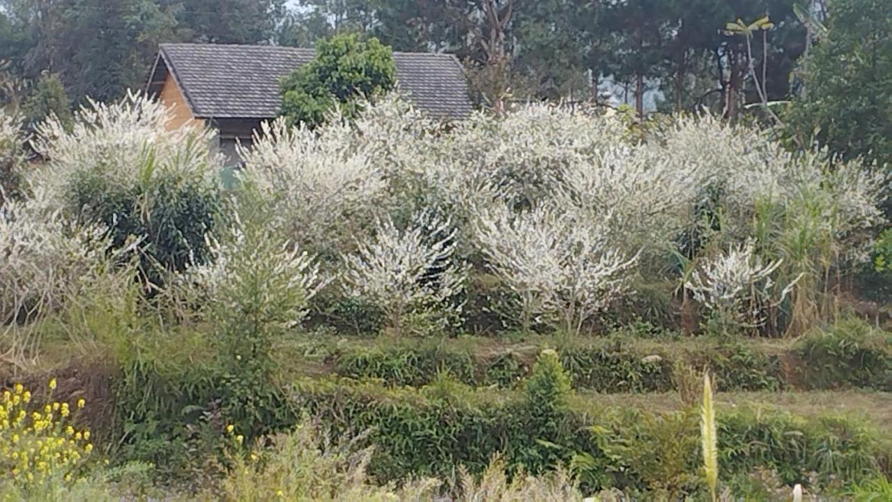 Huy Man Homestay ハザン エクステリア 写真