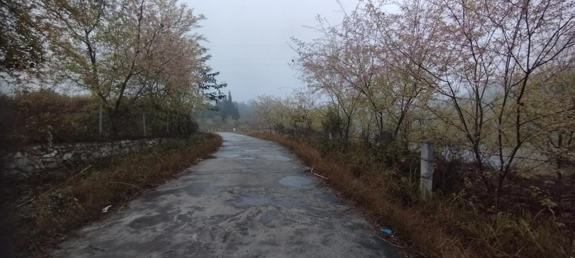 Huy Man Homestay ハザン エクステリア 写真