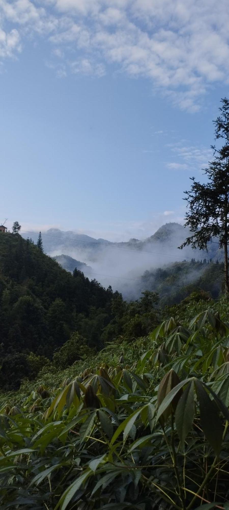 Huy Man Homestay ハザン エクステリア 写真
